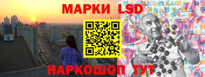 дмт Аргун