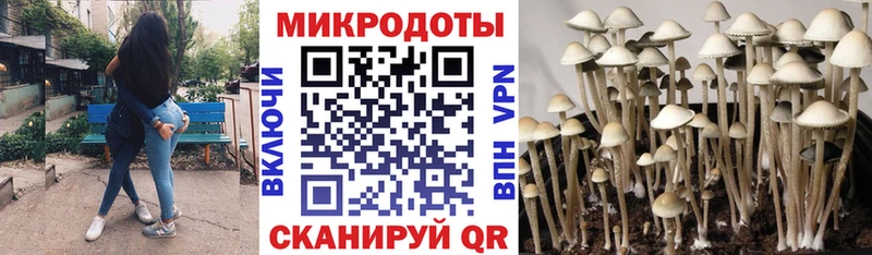 omg онион Белая Калитва Псилоцибиновые грибы мухоморы