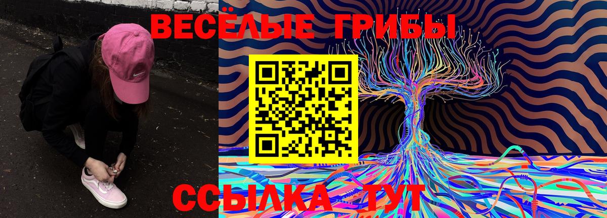 Галлюциногенные грибы прущие грибы Белая Калитва