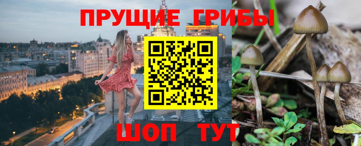 Галлюциногенные грибы прущие грибы  Вход с VPN  Белая Калитва  Псилоцибиновые грибы мицелий 